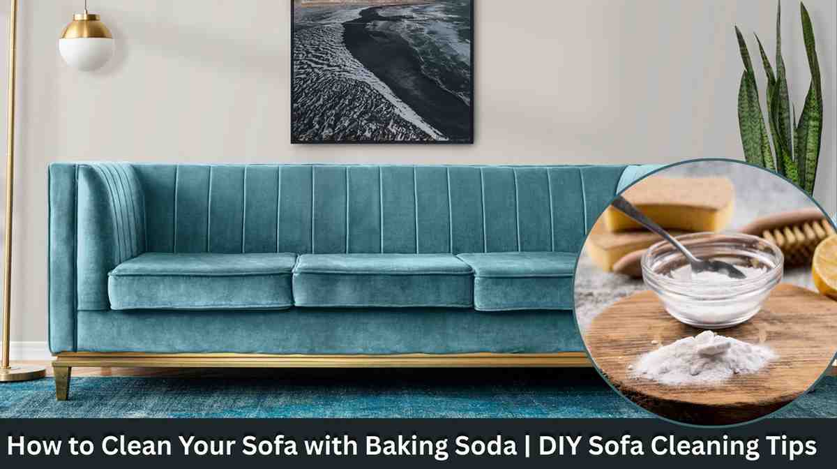 Clean Sofa With Baking Soda | DIY Guide